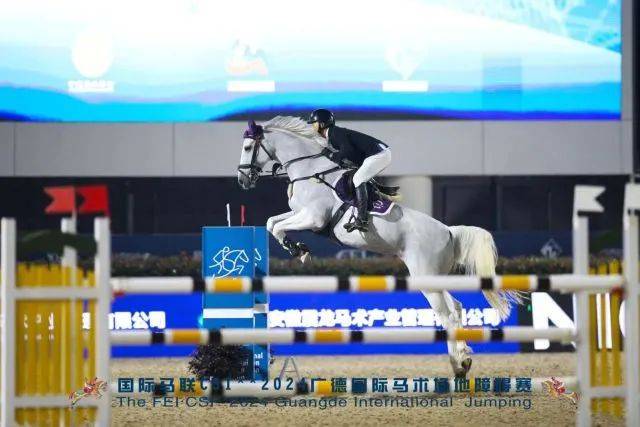 国产L精品国产亚洲区久久:02-22-33-36-40-49M：10,国产精品与亚洲区的独特魅力，一场文化与技术的融合盛宴