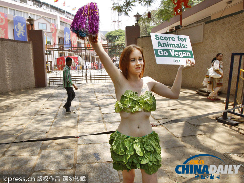 美女裸体无遮挡免费视频网站:10-17-20-26-29-38S：13,关于美女裸体无遮挡免费视频网站的探讨及相关思考