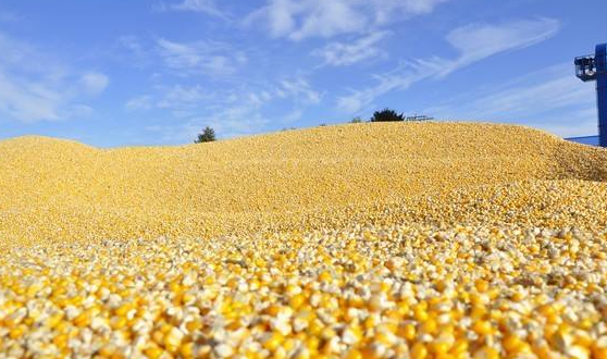 国产成人亚洲精品青草天美:12-13-15-19-22-23M：29,国产成人亚洲精品，探索青草天美的多元魅力