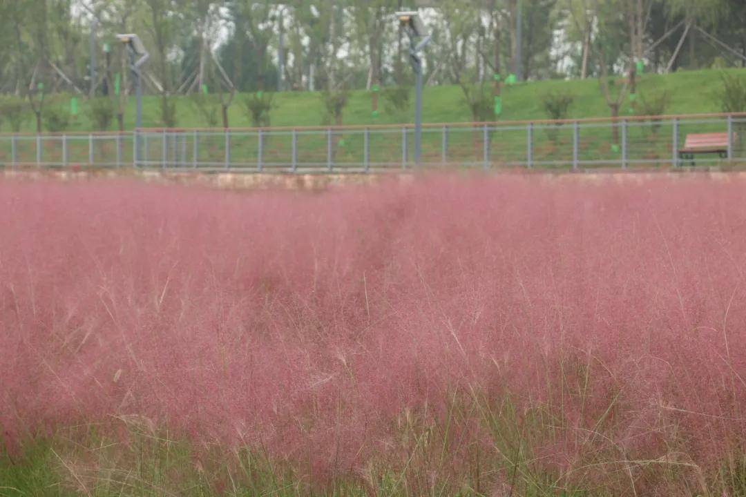 国产乱子伦无套一区二区三区:02-06-20-23-45-49G：06,国产乱子伦无套一区二区三区，深度探索与反思