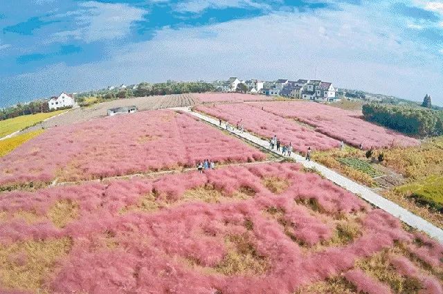 国产乱子伦无套一区二区三区:02-06-20-23-45-49G:06,国产乱子伦无套一区二区三区,深度探索与反思 国产乱子伦无套一区二区三区:02-06-20-23-45-49G:06,国产乱子伦无套一区二区三区,深度探索与反思