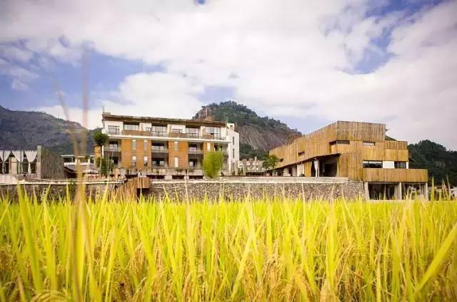 国产乱子伦无套一区二区三区:02-06-20-23-45-49G:06,国产乱子伦无套一区二区三区,深度探索与反思 国产乱子伦无套一区二区三区:02-06-20-23-45-49G:06,国产乱子伦无套一区二区三区,深度探索与反思