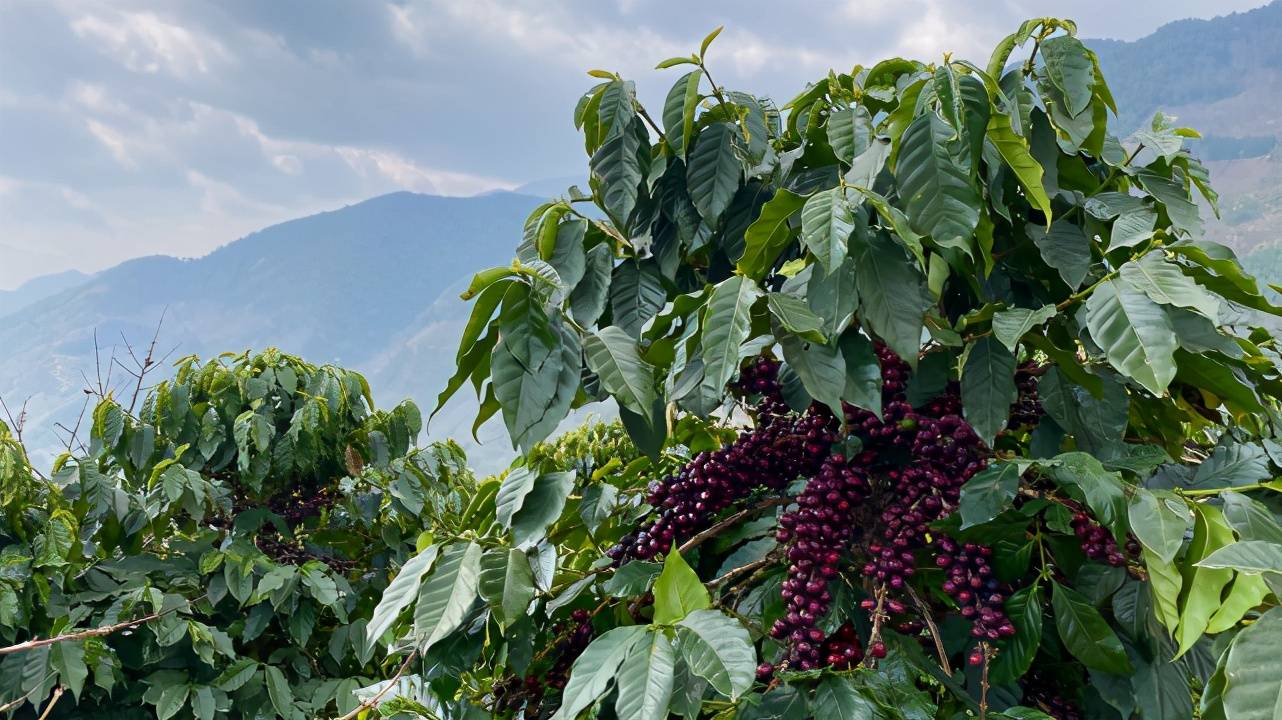 久久精品国产精品青草:03-09-18-19-42-48V：02,久久精品国产精品青草，探索独特魅力与价值的深度解析（03-09-18-19-42-48V，02）