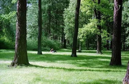 久久精品国产精品青草:03-09-18-19-42-48V：02,久久精品国产精品青草，探索独特魅力与价值的深度解析（03-09-18-19-42-48V，02）