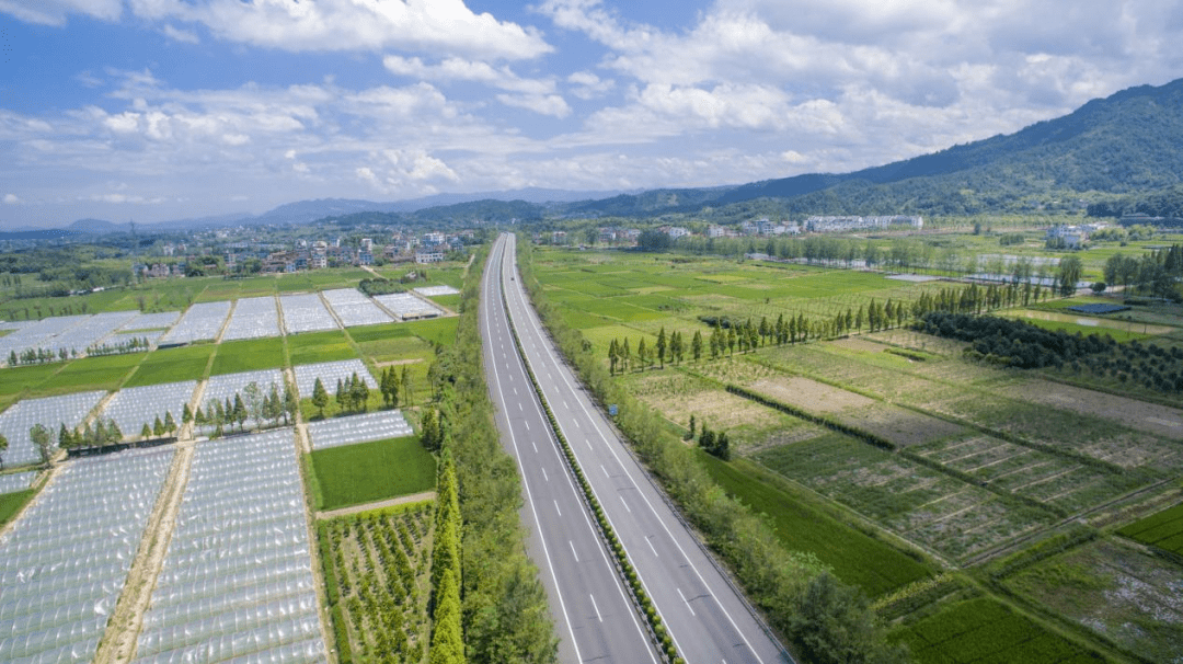 又大又硬又黄又刺激的免费视频 :27-38-42-43-44-46Y：47,探索未知领域，关于又大又硬又黄又刺激的免费视频探索