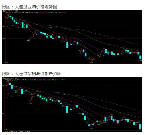 国内精品自在自线视频:05-11-15-16-35-38V：37,关于国内精品自在自线视频的探索与赏析，05-11-15-16-35-38V版本的重要性与魅力