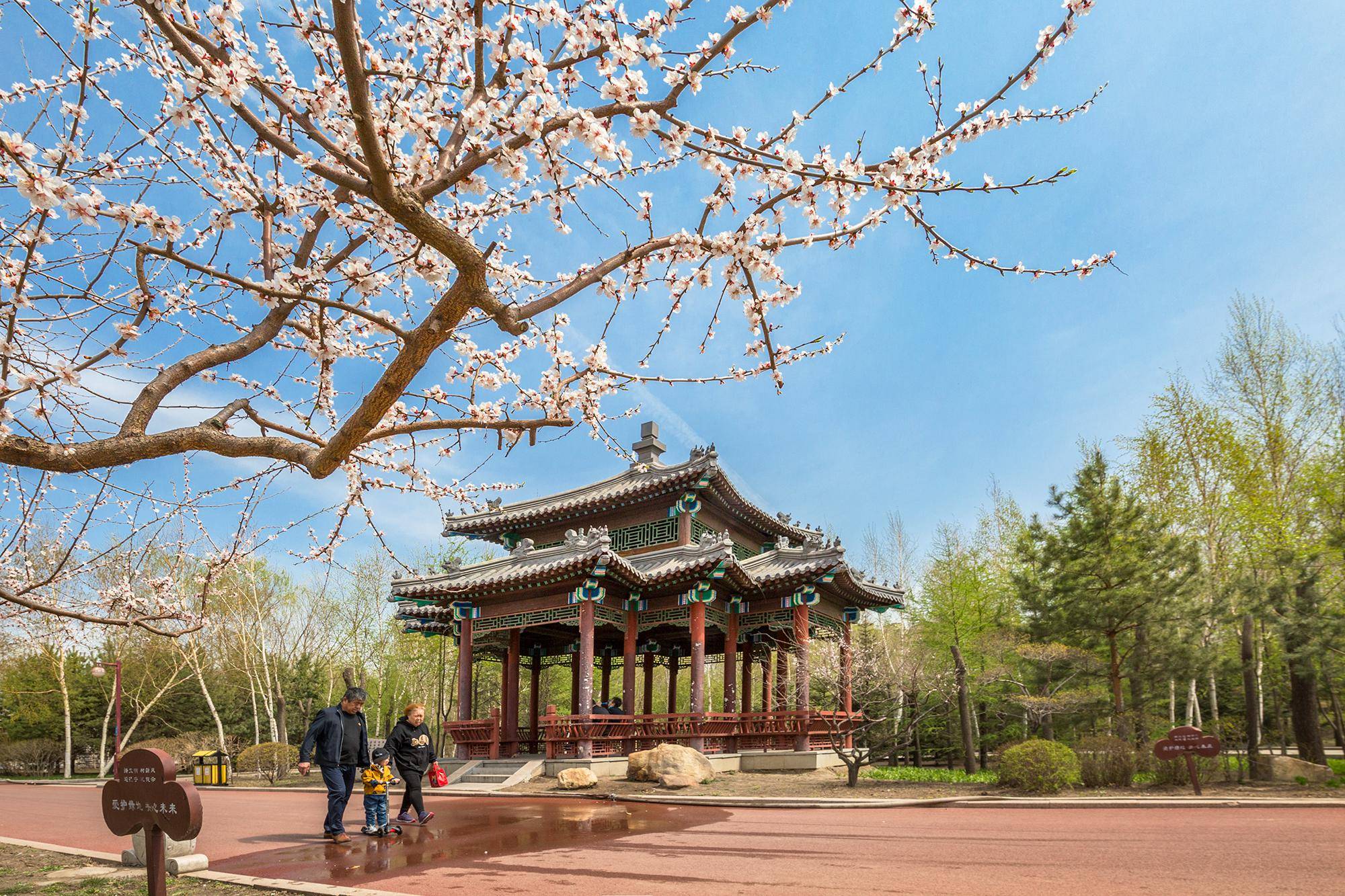 精品无码人妻一区二区三区不卡:02-24-37-40-45-49T：41,探索精品无码人妻一区二区三区，深度解析与体验分享