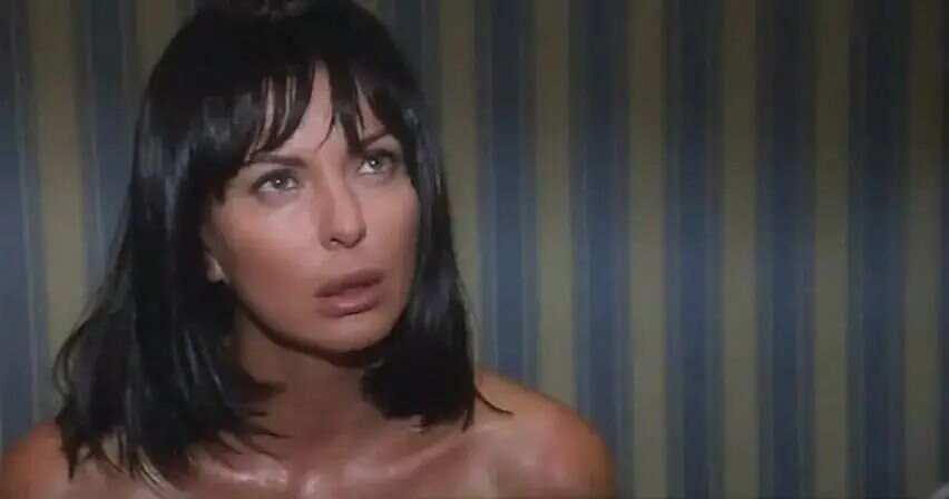 欧美极品少妇性运交:01-09-10-34-41-47U：31,欧美极品少妇的性运交之旅，深度探索与独特体验（2023年精选）