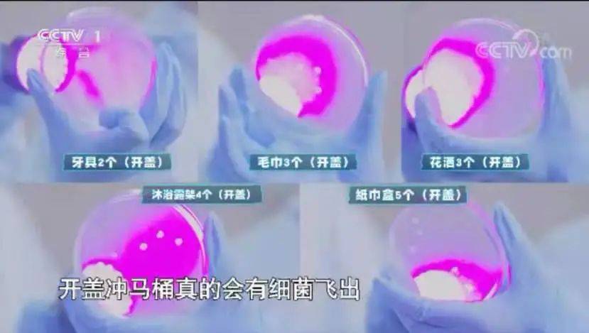 天天摸天天做天天爽:05-11-21-41-42-45A：01,天天摸天天做天天爽，探索生活的无限可能