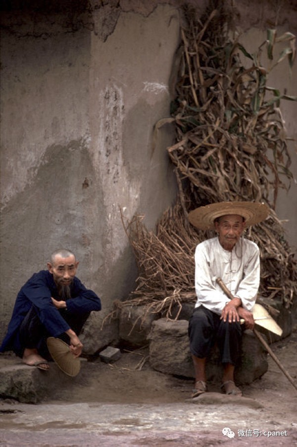 乱子伦AV无码中文字:02-05-19-32-42-44R：17,探索乱子伦文化，深度解析与反思