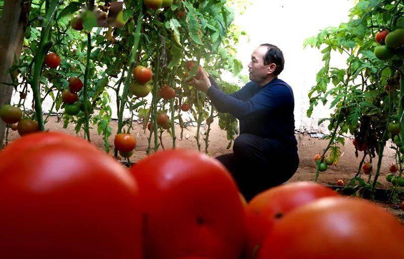 黄桃AV无码免费一区二区三区:08-13-19-27-35-37T:09,黄桃AV无码免费一区二区三区,探索与赏析(文章标题) 黄桃AV无码免费一区二区三区:08-13-19-27-35-37T:09,黄桃AV无码免费一区二区三区,探索与赏析(文章标题)