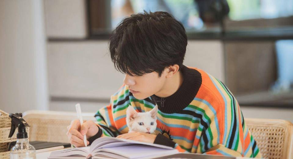 成人免费无码不卡毛片视频:06-08-15-28-31-47X：36,探索网络时代的影视娱乐，成人视频内容的挑战与机遇