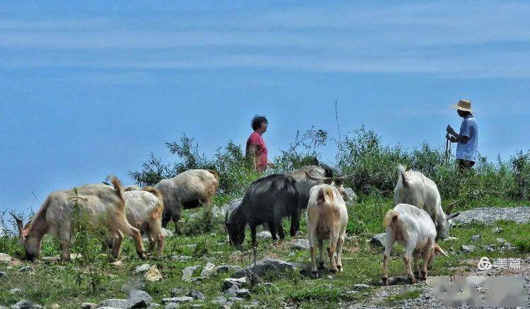 精品国产一区二区三区久久狼:09-18-25-27-38-48J：41,探索精品国产影视的魅力，一区至四区的深度解析