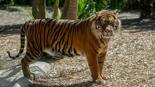 亚洲国产成人精品无码区四虎:04-14-24-33-41-43K：11,关于亚洲国产成人精品无码区四虎的一些探讨