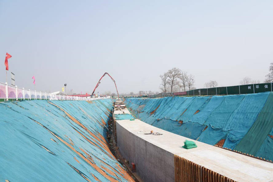 小泽玛莉亚一区二区视频在线:07-10-17-24-32-41D：40,探索小泽玛莉亚，一区与二区的视频魅力