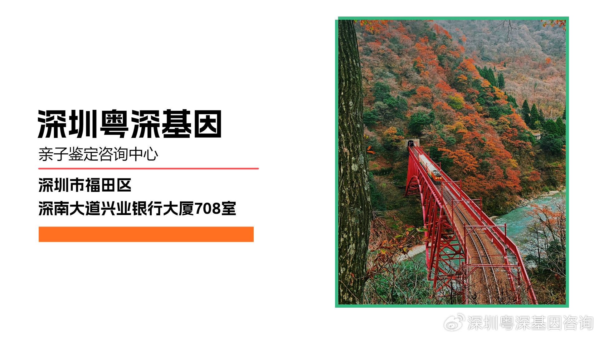 国产999精品2卡3卡4卡:05-11-15-16-35-38V：37,国产999精品的魅力，探索二卡、三卡、四卡时代的技术革新与品质飞跃
