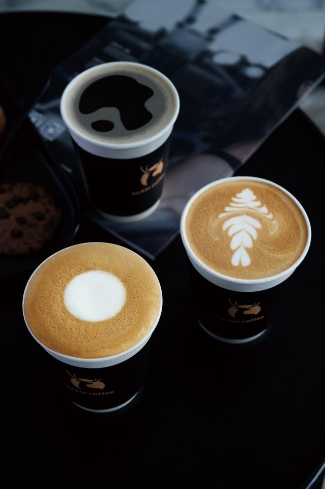 Y111111国产精品久久久:09-26-28-29-31-47A：32,探索Y111111国产精品的魅力，一场文化与技术的融合之旅