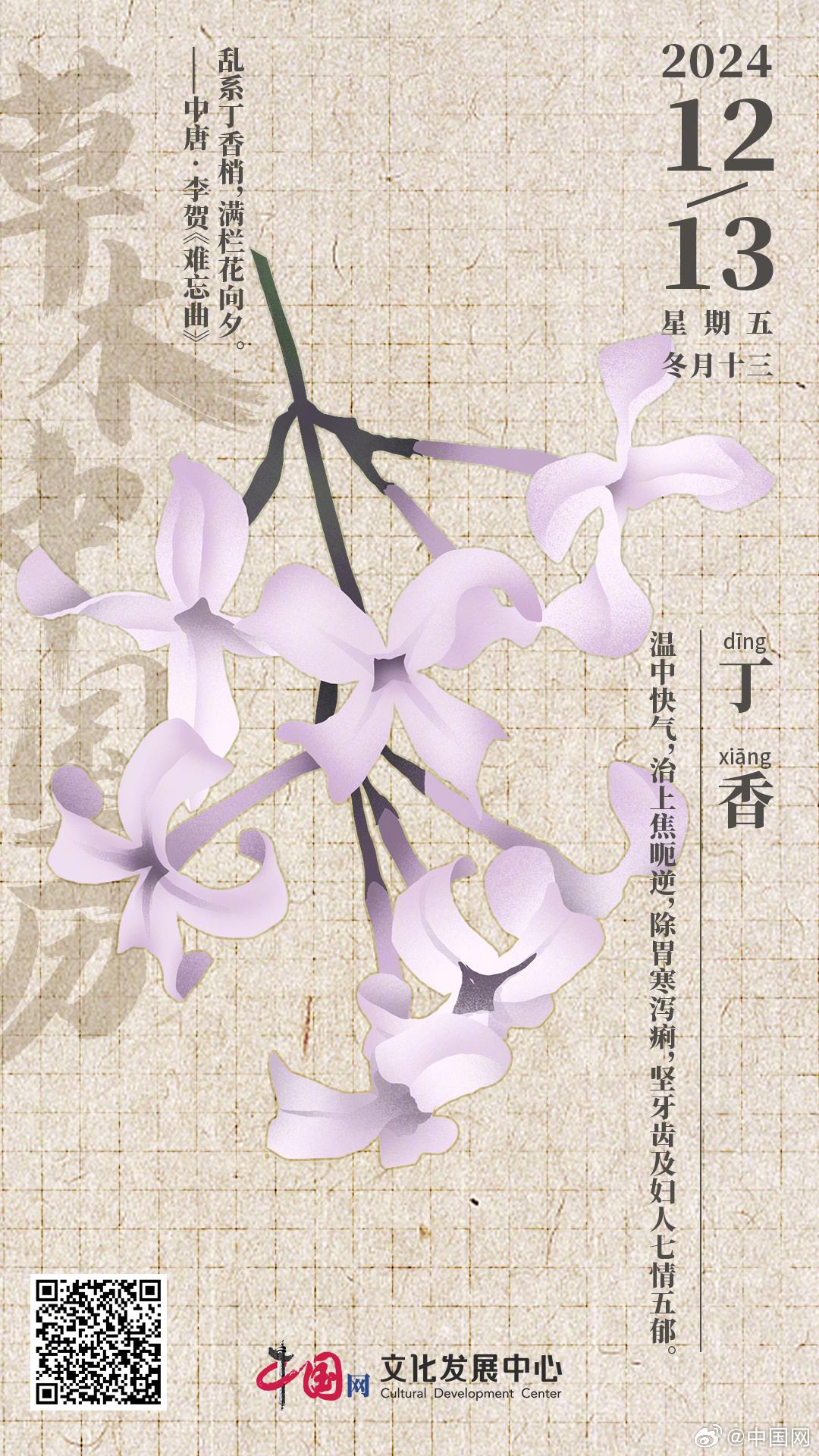 久久综合网丁香五月:03-10-19-25-29-49P：38,久久综合网丁香五月，探索数字世界的奥秘与魅力