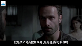 狼人青草久久网伊人:01-04-05-11-26-31D：09,狼人青草久久网伊人，一场跨越时空的奇幻情缘