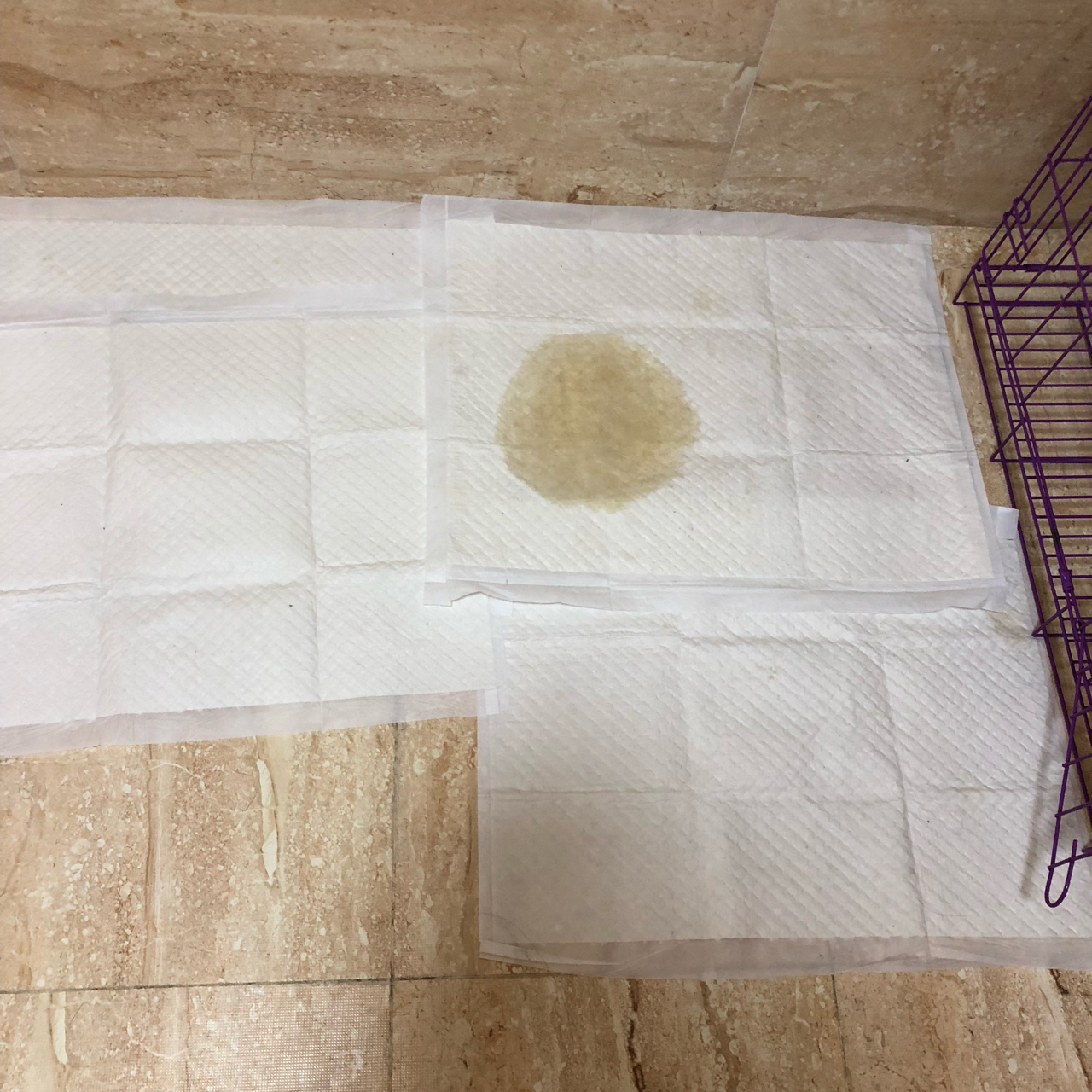 国产精品 高清 尿 小便 嘘嘘:05-15-16-20-26-45P：26,国产精品中的微妙细节，高清视角下的尿与小便观察（嘘嘘，05-15-16-20-26-45P）