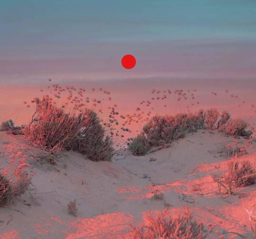 欧美成人AA久久狼窝五月丁香:06-08-13-24-26-27Y：14,欧美成人AA久久狼窝五月丁香，探索未知世界的独特魅力