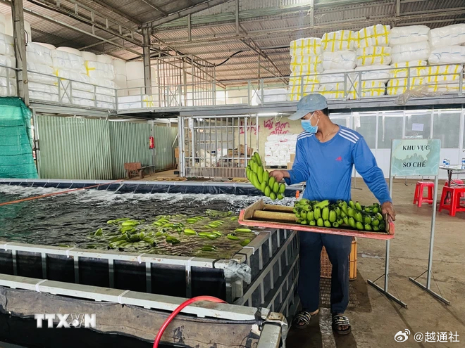 国产—久久香蕉国产线看观看:05-07-21-38-40-43X：10,国产香蕉的骄傲，探索中国本土香蕉产业的独特魅力与未来展望