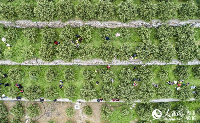 国产乱子伦视频湖北:02-12-14-19-22-34D:18,国产乱子伦视频与湖北,一场文化与技术的交融 国产乱子伦视频湖北:02-12-14-19-22-34D:18,国产乱子伦视频与湖北,一场文化与技术的交融