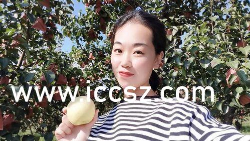 久久99精品国产麻豆:24-30-34-38-41-43K：48,久久99精品国产麻豆，探索中国时尚之美