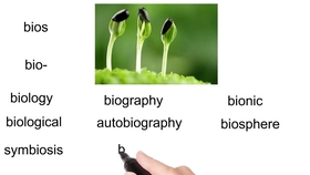 99精品国产自在现线10页:01-04-18-22-35-41X:04,探索99精品国产,自在现线与十页精选的魅力时光 99精品国产自在现线10页:01-04-18-22-35-41X:04,探索99精品国产,自在现线与十页精选的魅力时光