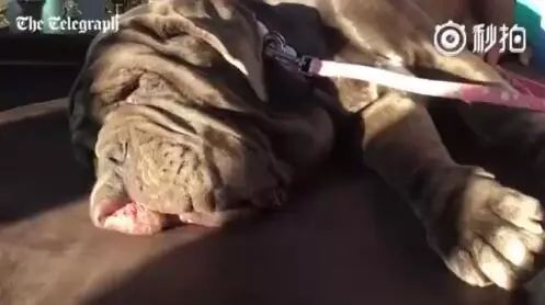 国产激情一区二区三区成人:01-04-05-11-26-31D：09,探索国产激情，一区、二区、三区的深度解读（01-04-05-11-26-31D与09的隐秘世界）