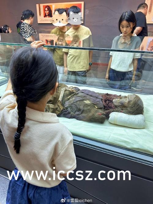 国产AV丝袜旗袍无码网站:04-06-29-35-40-42D：22,国产AV丝袜旗袍无码网站，探索文化交融下的成人娱乐新风尚