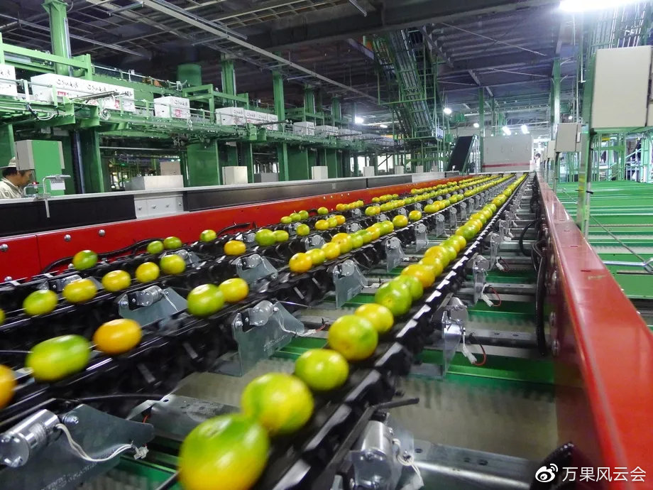 国产精品一区二区香蕉:03-08-09-28-33-49K：10,国产精品一区二区香蕉，深度探索与独特魅力