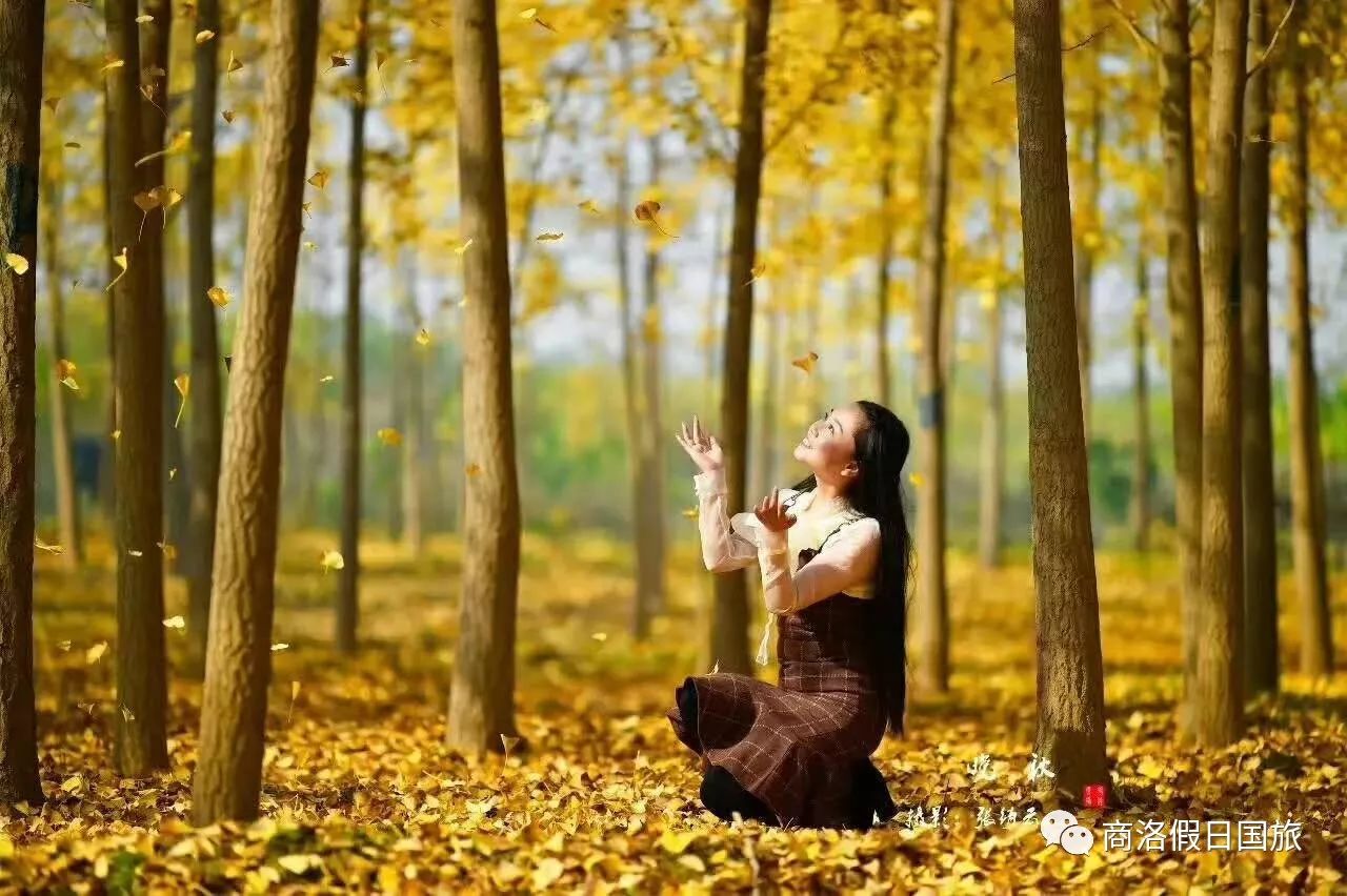 四虎国产精品一区二区:11-16-27-28-31-47N：37,四虎国产精品一区二区，探索与赏析（1980字文章）