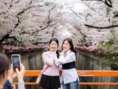 一区二区精品视频日本:04-14-24-33-41-43K：11,一区二区精品视频日本，探索独特文化与魅力（04-14-24-33-41-43K与深度解析）