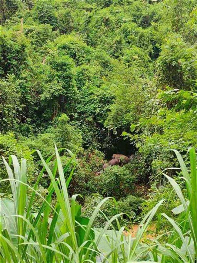 夜夜爽一区二区三区精品:03-09-12-16-17-25J：41,夜夜爽一区二区三区精品，探索不同区域的独特魅力与快感