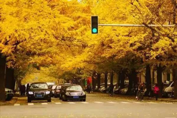 国产亚洲一本大道中文在线:16-27-33-35-43-48X:38,国产亚洲一本大道中文在线,探索与赏析(16-27-33-35-43-48X,38) 国产亚洲一本大道中文在线:16-27-33-35-43-48X:38,国产亚洲一本大道中文在线,探索与赏析(16-27-33-35-43-48X,38)