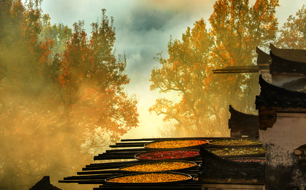 色翁荡息又大又硬又粗视频:09-15-20-24-25-49T：10,探索色翁荡息，揭秘大又硬又粗视频的魅力