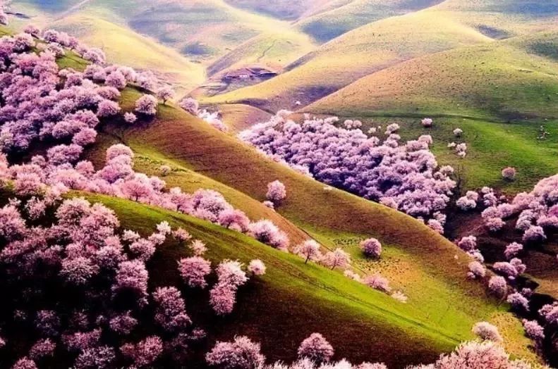 亚洲国产精品无码久久青草:05-16-26-32-45-47T：06,亚洲国产精品的多元魅力与深度探索