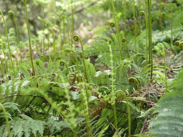 亚洲国产精品无码久久青草:05-16-26-32-45-47T：06,亚洲国产精品的多元魅力与深度探索