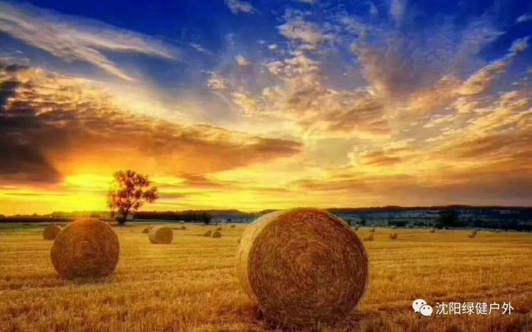 亚洲国产精品无码久久青草:05-16-26-32-45-47T：06,亚洲国产精品的多元魅力与深度探索