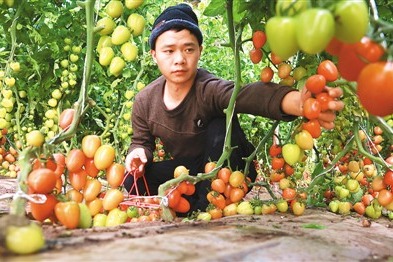 无码国产精品一区二区免费式芒果:01-15-20-25-27-29K：40,无码国产精品一区二区免费式芒果，探索影视娱乐的新纪元