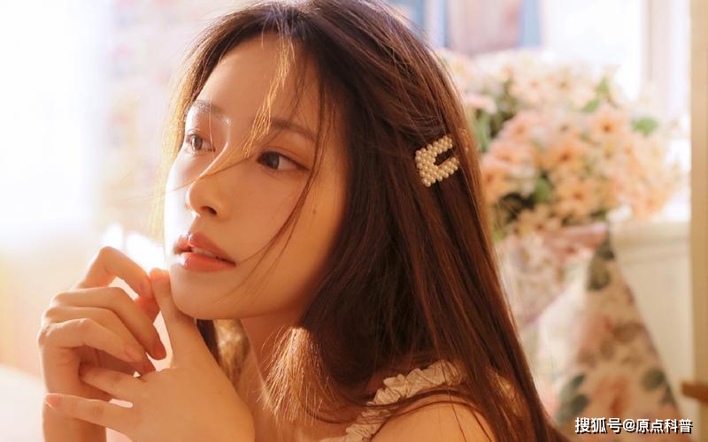 男人的天堂免费一区二区视频:12-14-27-33-48-49Y：41,男人的天堂，探索免费一区二区视频的魅力