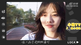 在线观看AV永久免费:04-06-19-30-34-49V：41,在线观看AV永久免费的新时代，探索免费影视娱乐的未来