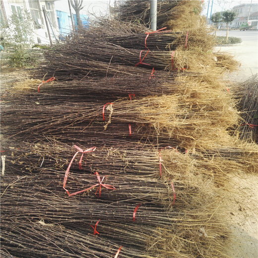 国产乱子伦农村叉叉叉:03-13-24-32-34-44Q:48,国产乱子伦农村叉叉叉,探索与反思 国产乱子伦农村叉叉叉:03-13-24-32-34-44Q:48,国产乱子伦农村叉叉叉,探索与反思