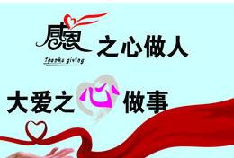 精品九九人人做人人爱:11-20-22-31-39-46S：48,精品九九，人人做，人人爱——探索一种全新的生活理念与追求