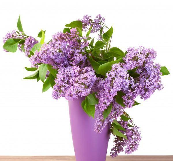 久久五月丁香激情综合:04-06-14-33-35-42M：38,久久五月丁香激情综合，一场时间与空间的交响乐章