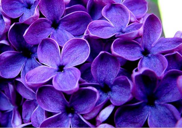 久久五月丁香激情综合:04-06-14-33-35-42M：38,久久五月丁香激情综合，一场时间与空间的交响乐章