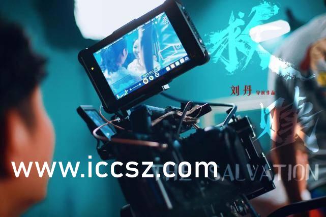 特级婬片国产高清视频:15-16-18-37-39-45P：31,探索国产高清视频的世界，从特级婬片到多元内容体验