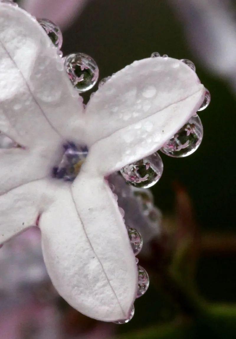 五月丁香久久综合网站:24-26-32-34-35-41M：04,五月丁香久久综合网站，探索数字背后的深层含义与体验