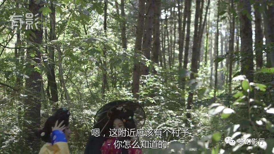 国产寡妇树林野战在线播放:02-24-39-46-48-49N：24,国产寡妇树林野战的真实再现——在线播放的深层探索